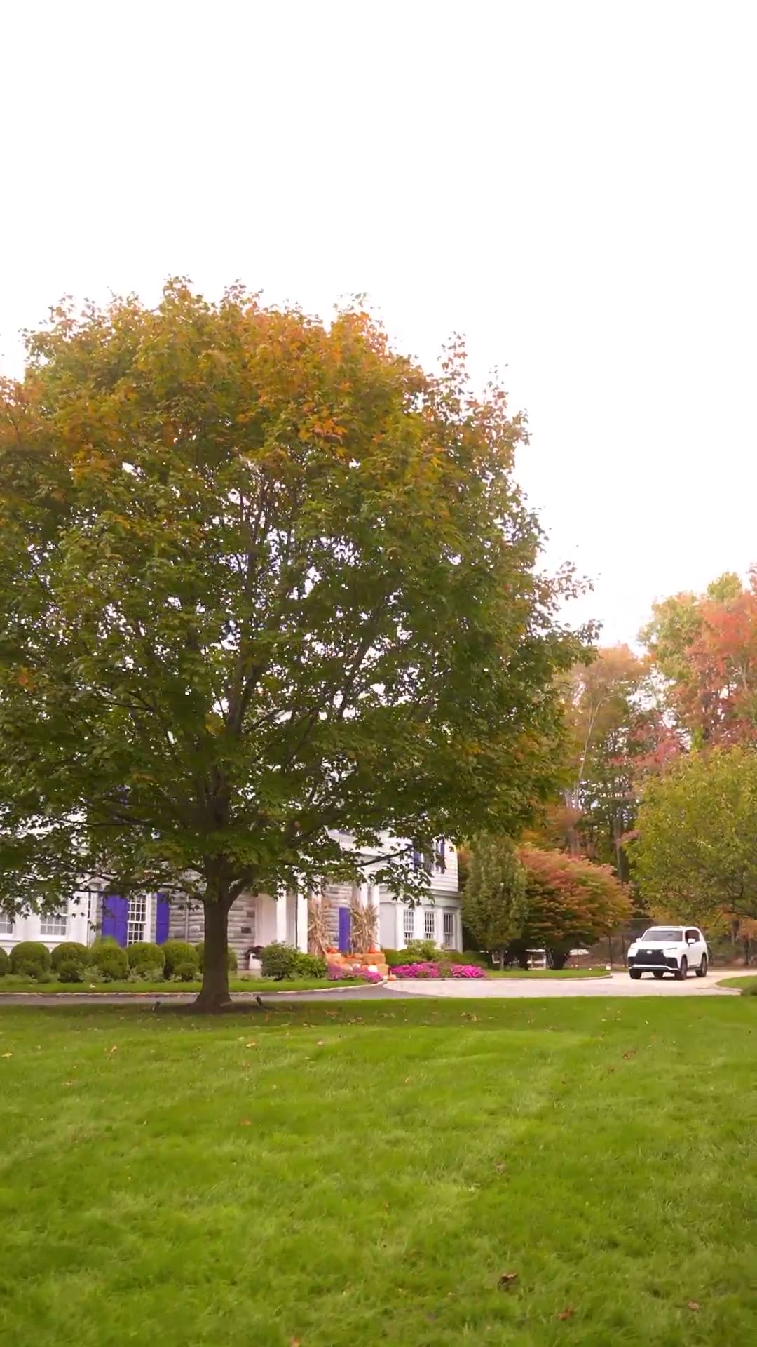 A classic colonial home among autumn trees